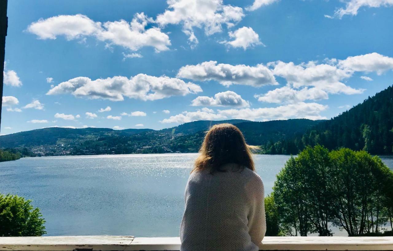 Le Chalet Au Bord Du Lac Gerardmer Bagian luar foto